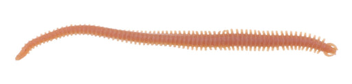 Gulp alive ragworm 15cm 206g Reelfishing