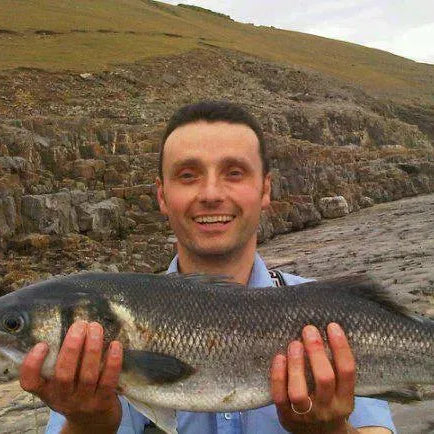 Bass Fishing in the UK: Tips, Tactics & Gear for Every Angler