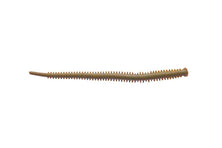 Berkley Gulp Isome Futomi Natural 4"