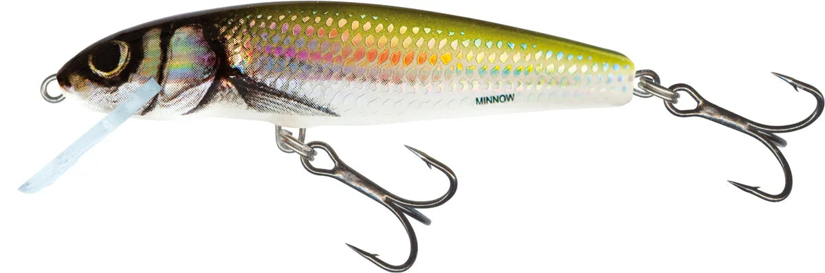 Salmo Minnow Sinking Lure