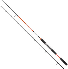 Yokozuna H10 10ft spinning rod 30-70g 2 section