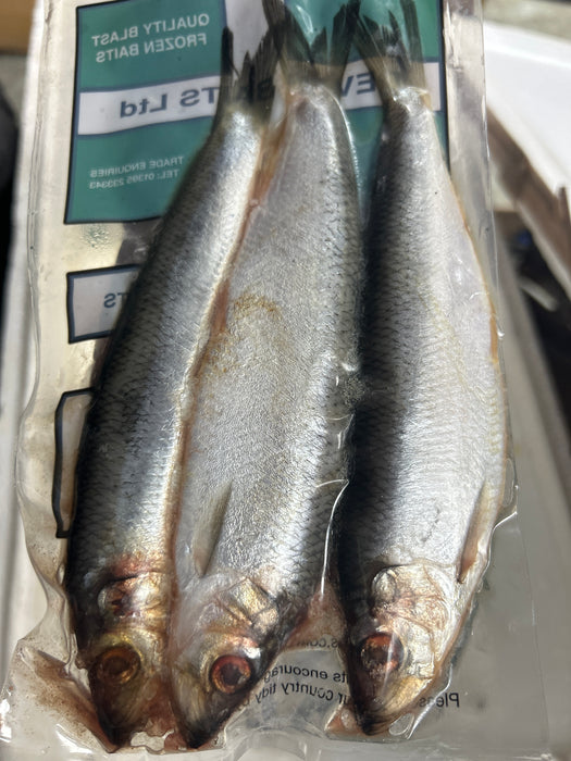 Devon Baits Herring