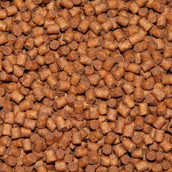 DNA BETASTIM PELLET
