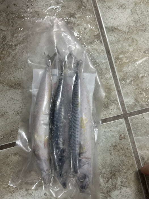 Riot Cornish Joey Mackerel 3's