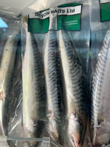 Devon Baits Mackerel 2/3