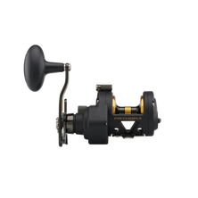 Penn Fathom II FTH12 SD magnetic cast control Reelfishing