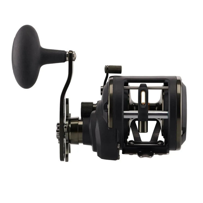 Penn Squall II 30LW Reelfishing