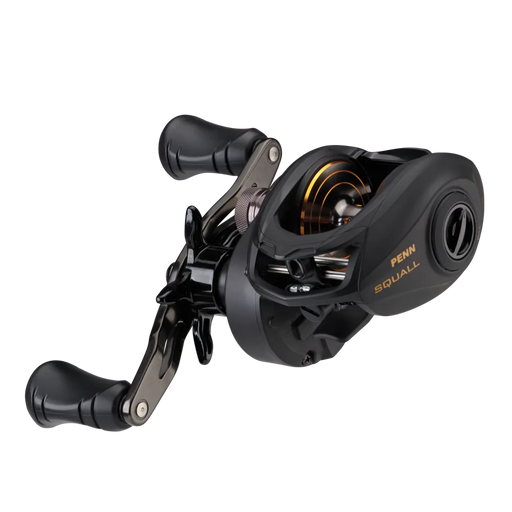 baitcasting reels uk Best Reel for Saltwater Fishing - Smooth Casting Design performance baitcasting reel under $150 Baitcasting Reels Reelfishing
