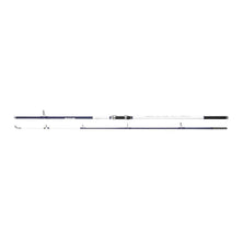 Shakespeare Salt Surf/Pier 10ft 4-6oz Reelfishing