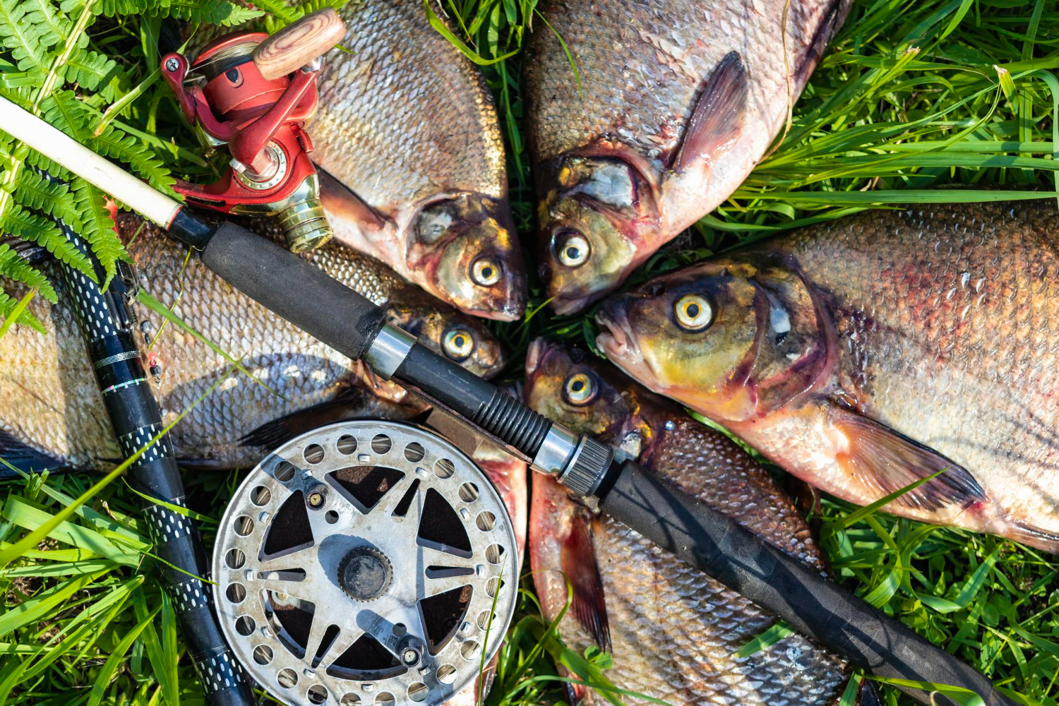 Fishing Tackle at competitive prices