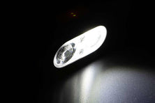 Fox Halo Multi Colour Headtorch