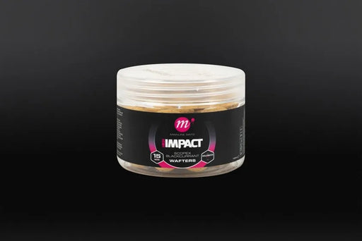 Mainline Impact Scopex Blackcurrant Wafters