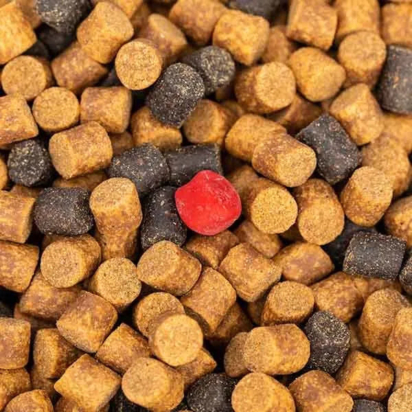 Fjuka Fatboys 2 in12 bait 10mm Reelfishing