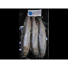 SeaFreeze Herring Jack 4's Reelfishing