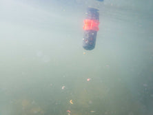 Korum Floating Feeder