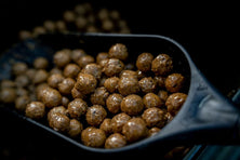 Parker Baits Shelf Life Boilies OG Fruit & Nut Reelfishing