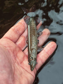 Fox Rage Ultra Naturals Replicant Pike