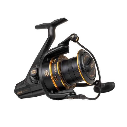 Penn Rival  6000 LC Gold Reelfishing
