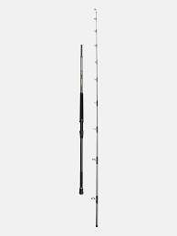 Penn Regiment IV Uptide 70-300g