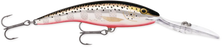 Rapala Deep Tail Dancer 13cm 42g Reelfishing