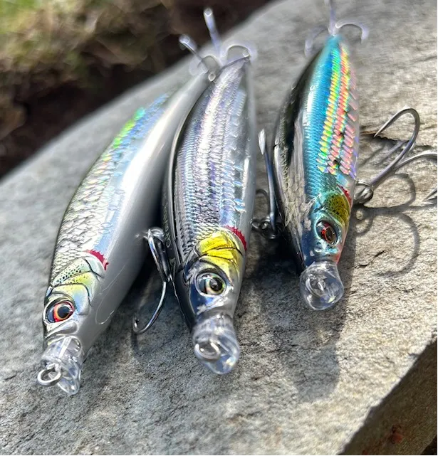 Savage Gear Gravity Shallow | Reelfishing