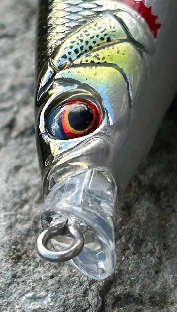 Savage Gear Gravity Shallow