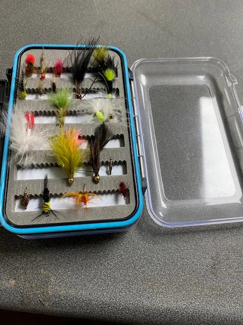 Clearview Double sided fly box with 20 assorted Flies. | Reelfishing