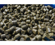 Sonubait Marine Green Feed Pellets