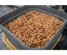 Sonubait Hard Pellets 900g