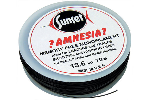 Amnesia  Memory Free Black Reelfishing