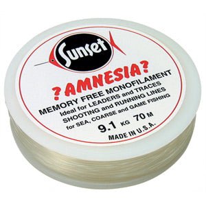 Amnesia memory free Clear leader Reelfishing