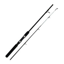 Axia Nautic Kayak rod  6ft 2 section 8-15lb class Reelfishing