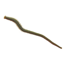 Berkley Sandworm 6in 15cm Sandworm Camo 10 pieces Reelfishing