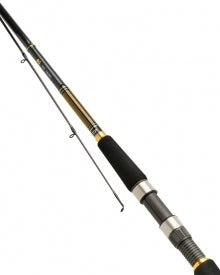 Daiwa BG lure rod 10ft 2 piece 1062MH 15-60g Reelfishing