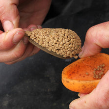 Drennan Method In-Line Flat Feeder with Mould Reelfishing