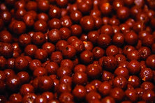 DYNAMITE BAITS THE SOURCE BOILIE 15MM 1KG Reelfishing