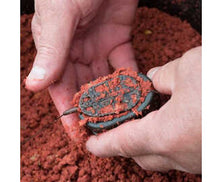 Korum Dura Method Feeders 30g Reelfishing