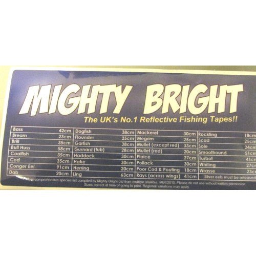 Mighty Bright Size Limit Sticker Reelfishing