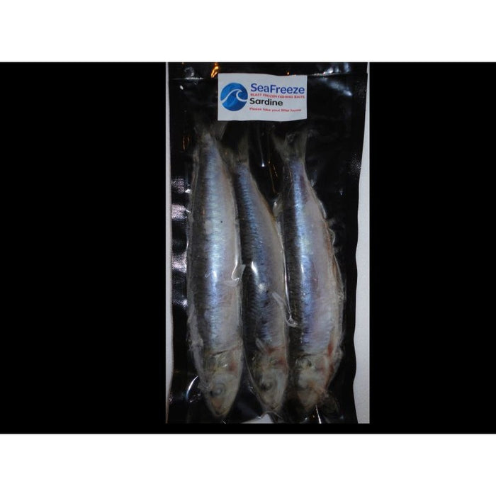 SeaFreeze Sardine 3-4's Reelfishing